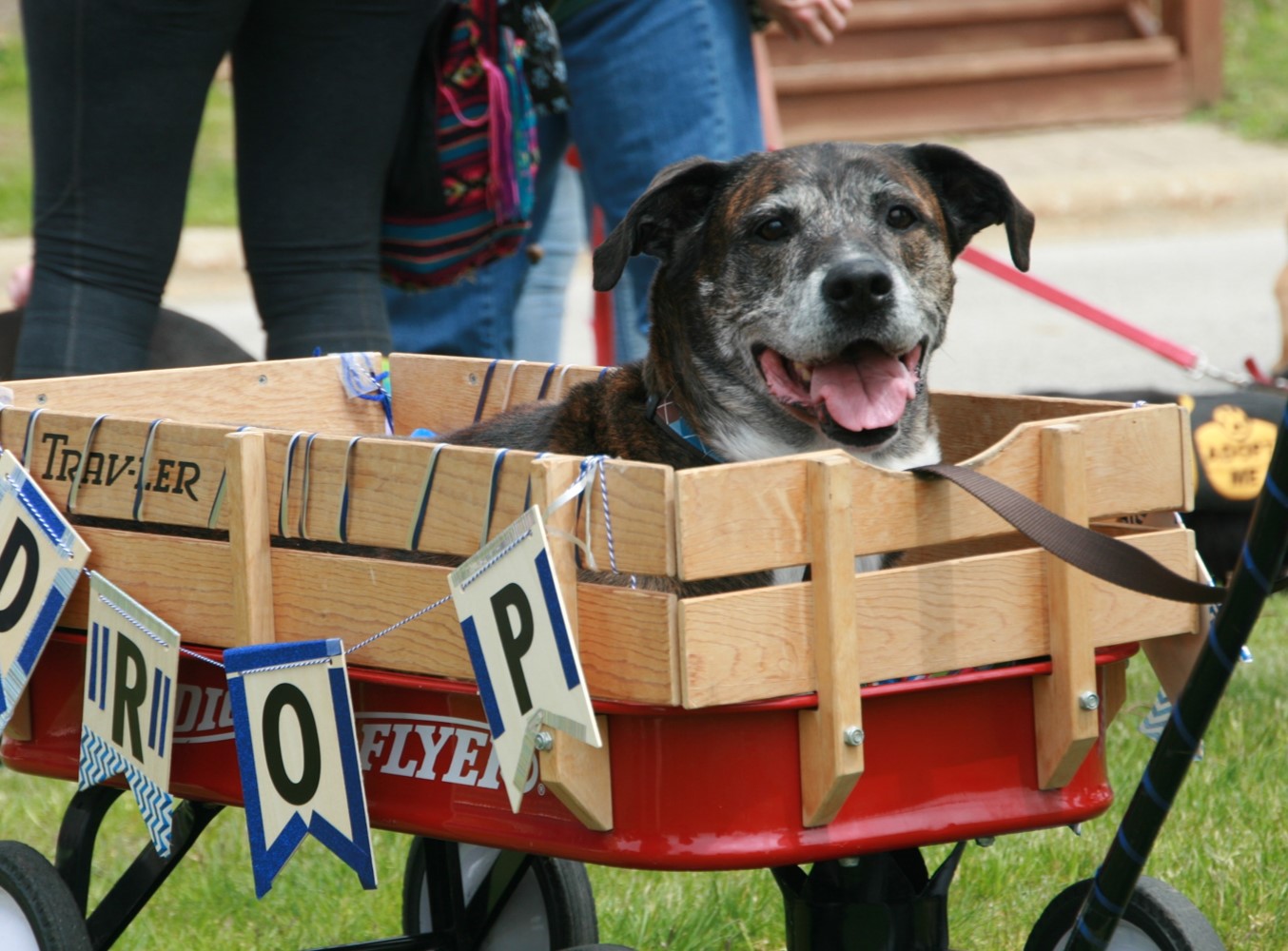 Pet Supplies Plus of Cuyahoga Falls Humane Society of Summit County