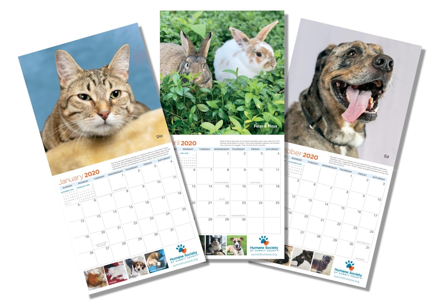 Nominate Your Pet For Hssc S 2021 Calendar Humane Society Of Summit County pet calendar 2021