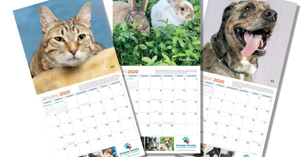 Nominate Your Pet For Hssc S 2021 Calendar Humane Society Of Summit County pet calendar 2021