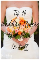 Top 10 Wedding Flowers that Bloom in Fall
