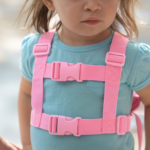 animal harness | On The GOldbug